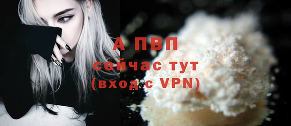 стаф Майский