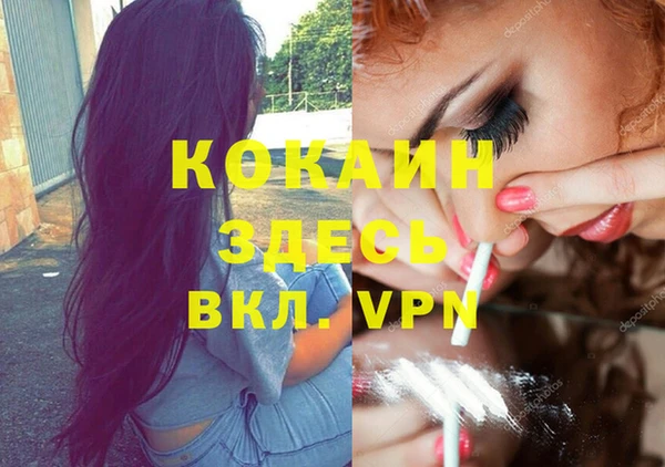 стаф Майский