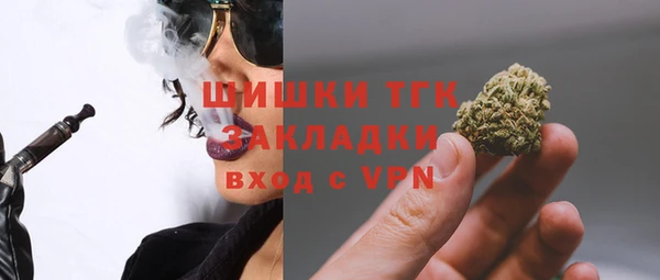 стаф Майский