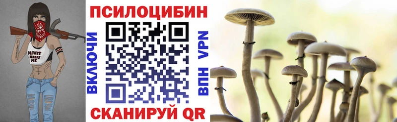 ОМГ ОМГ   Ермолино  Галлюциногенные грибы мухоморы 